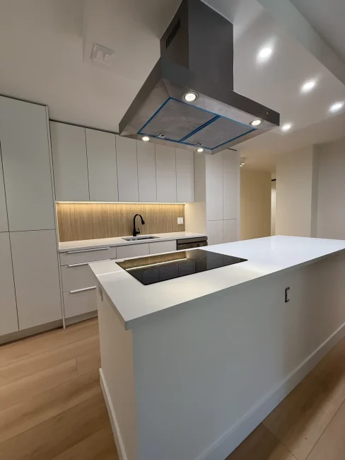 Modern Flat Panel Kitchen Cabinet