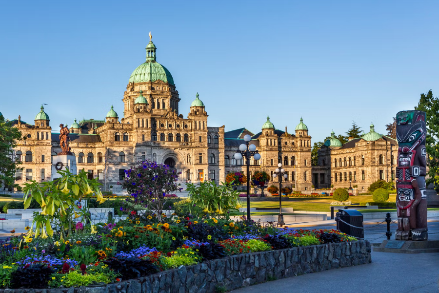 Victoria Renovation